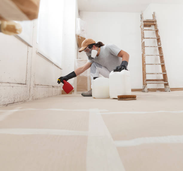 Best Mold Documentation for Insurance Claims  in Sour Lake, TX
